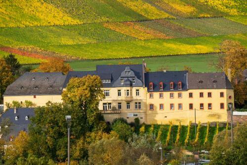 Apartamento Kapelle - Urlaub Auf Dem Weingut