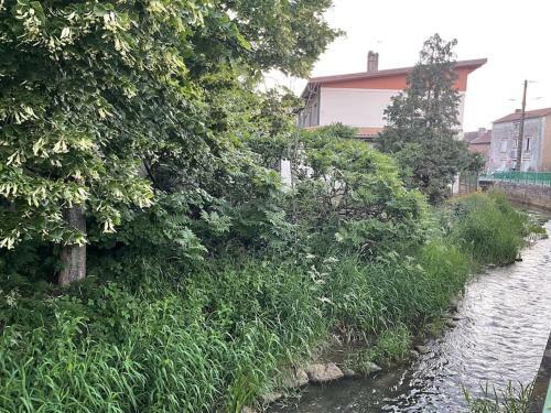 Apartamento Appartement Dans Maison Avec Cour Et Parc