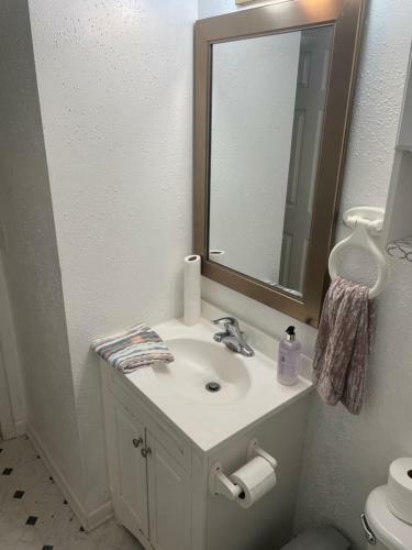 Entire Newly 3-bedroom Remodeled Home. Spacious