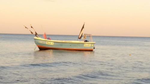 Meeresbrise 257 - A69703