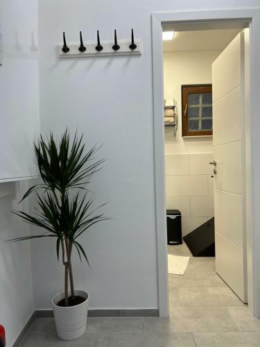Charmantes Denkmalgesch�tztes Tiny House Am Rhein