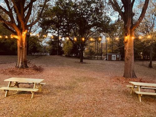 Charming 1960s Home Short Walk To Uptown Lightrail-unit 1