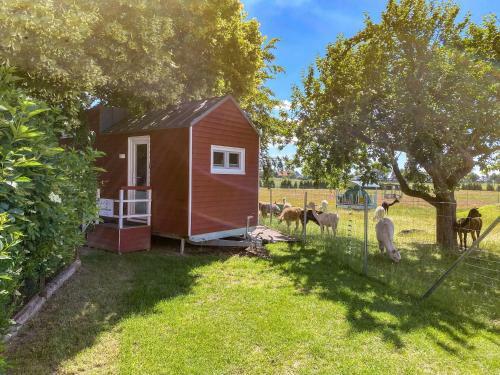Agroturismo Tiny House Auf Der Alpaka Farm