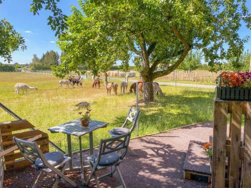 Agroturismo Tiny House Auf Der Alpaka Farm
