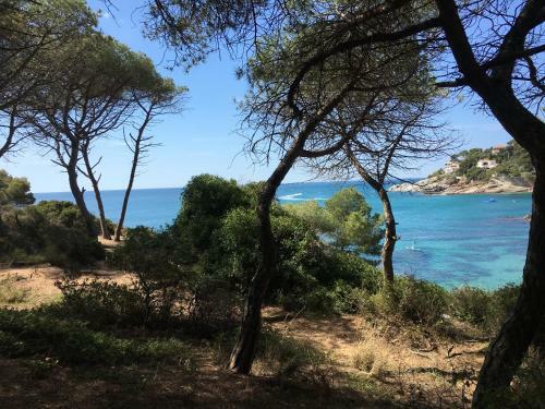 Apartamento Punta Prima