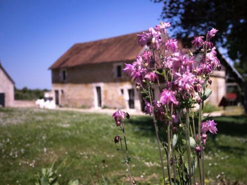 Bed & Breakfast La Guirtelle