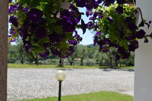 Apartamento Casa Vacanze Cascina Pio IX