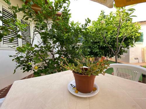 Apartamento Casa Tiresia Fontane Bianche