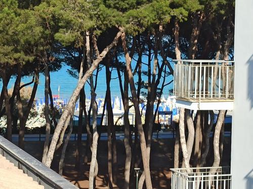 Apartamento Stefy Bilo Fronte Mare