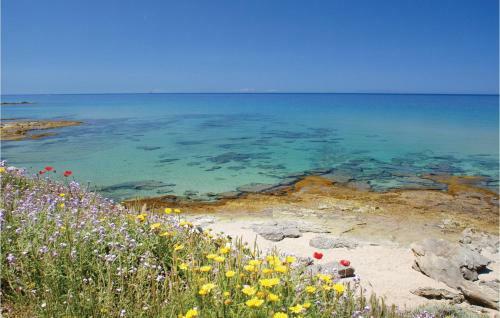 Nice Apartment In Costa Rei -ca- With 1 Bedrooms