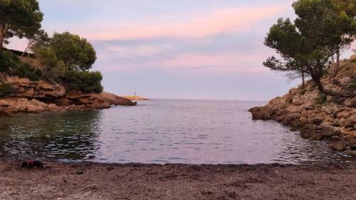 Apartamento A 300m De La Playa Con Jard�n.