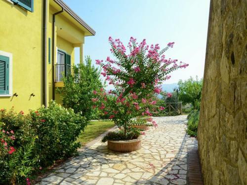 Apartment Sole Torrecuso