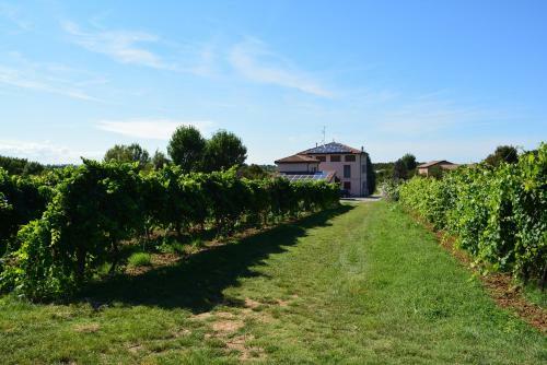 Agroturismo Le Stanze Di Bacco