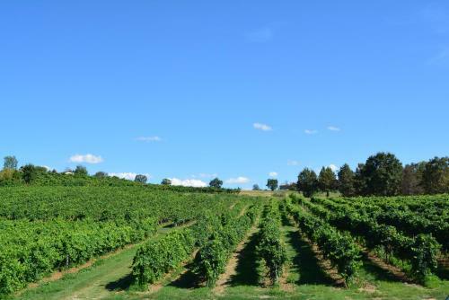 Agroturismo Le Stanze Di Bacco