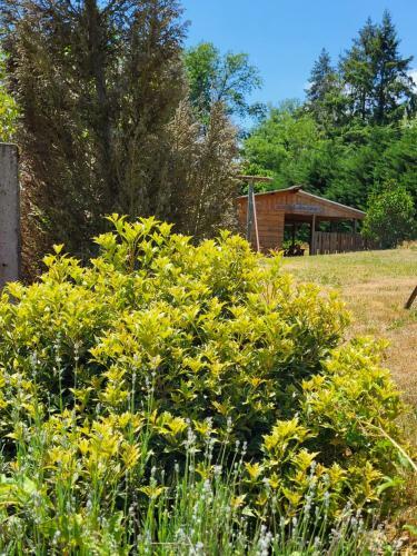 Bed & Breakfast Chambres D'h�tes L'art De Vivre..