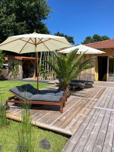 Lege Cap Ferret Superbe Villa Bois Avec Piscine