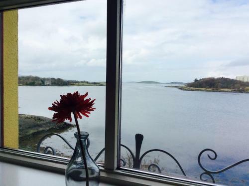 The Waterside B&B