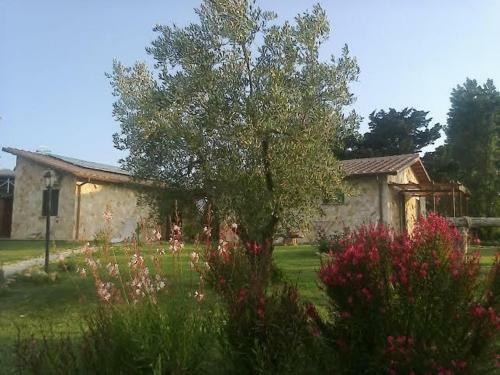 Casale Dinelli