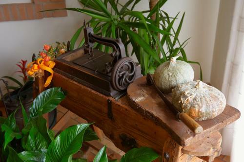 Agroturismo Agriturismo Il Cascinale