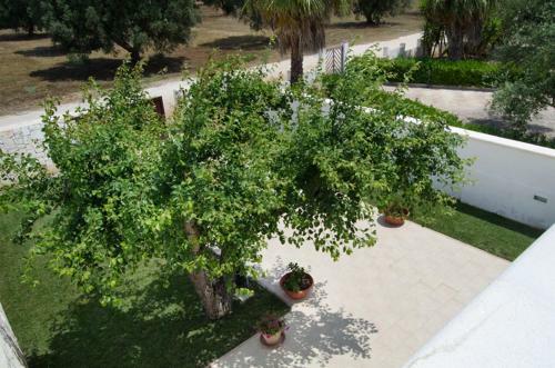 Villa Maria Con Piscina A Torre Colimena
