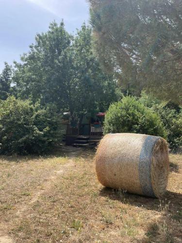 Roulotte En Bois Sud France