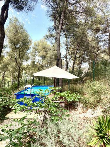 Villa De Charme Avec Piscine Et Jacuzzi Dans Cadre Exceptionnel
