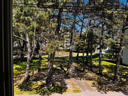 Apartamento Bruy�re Blanche Le Touquet Paris Plage