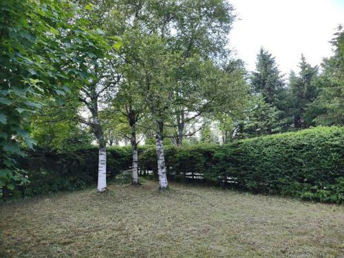 Chalet Gisela