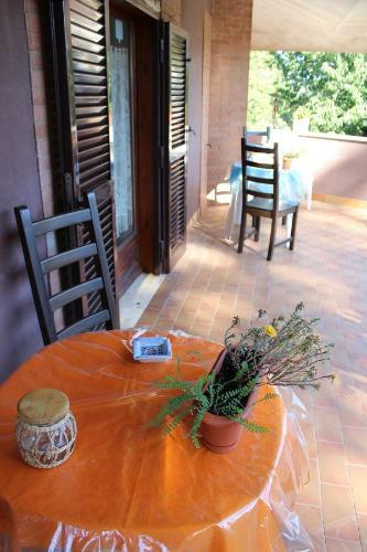 B&B Viale Dei Pini