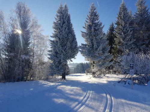 Apartamento Ferienwohnung Im Kuhlen Allg�u