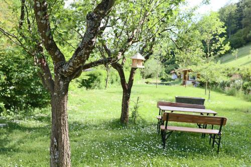 Apartamento Dachgeschosswohnung - A56892