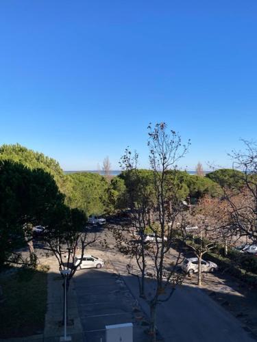 Apartamento Charmant Studio Refait � Neuf Carnon Port 34