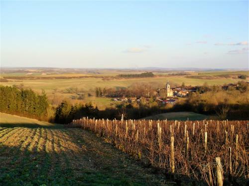 G�te La Tani�re Confort