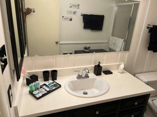 Apartamento Spacious 1 Bedroom Home Away From Home!