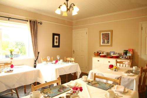 Brooklodge Bed And Breakfast
