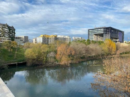 Apartamento Un Jardin Suspendu � Montpellier