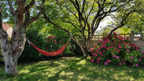 Villa Magnolia - Charmantes Haus An Der Opalk�ste