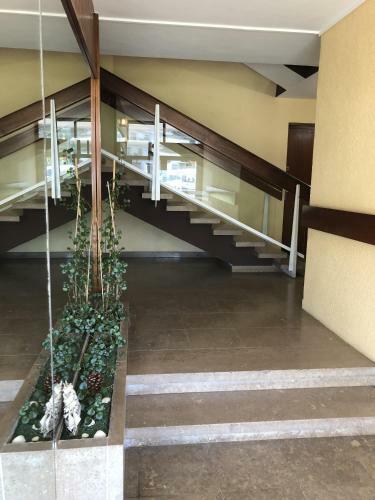 Apartamento Appartement Argeles Plage