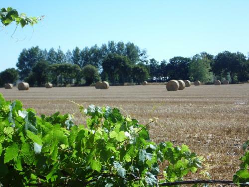 G�te � La Ferme En Pleine Nature
