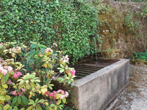 Bed & Breakfast Moulin Chantepierre
