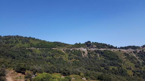 English Club In Corsica B&B