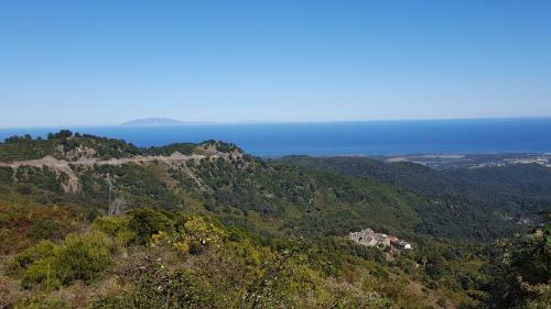 English Club In Corsica B&B
