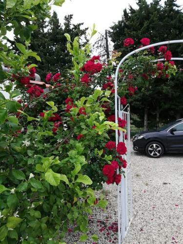 Apartamento Pugetvilla G�te Piscine Partag�e