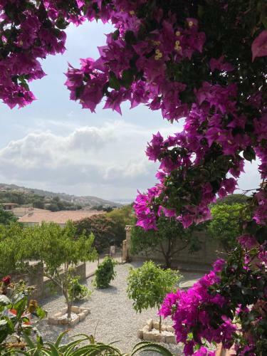 Hostal Casa Santa Giulia Propriano