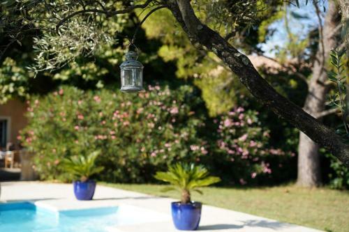 Hostal Maison D�h�tes Le Mas Des Vignes