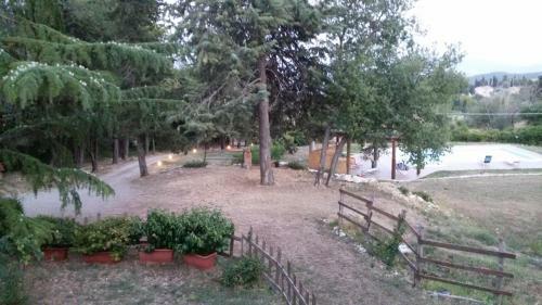 Bed & Breakfast Piccolo Ulivo Ranch
