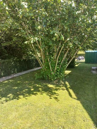 Maison De L?�cluse