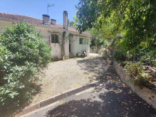 Charming Little House, Sea View And Big Terrace