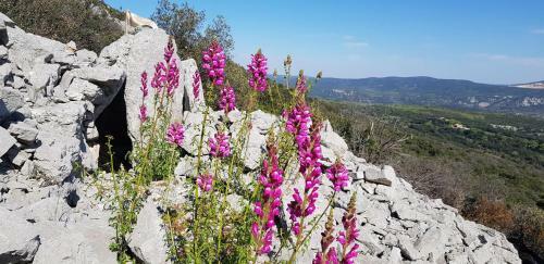 Agroturismo Bergerie Du Pic Saint-loup