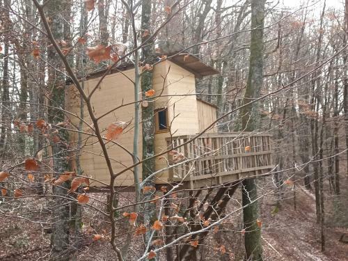 Agroturismo Cabanes Dans Les Arbres Du Lac